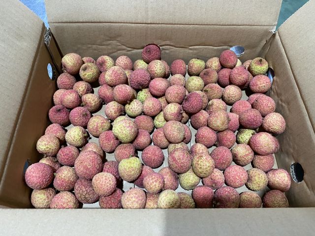 Fresh Lychee for exports Size 3 Cm Type Lychee Style Fresh Weight 10 Kg Grade Export Color Red Skin Model Number No Origin Viet - Image 3