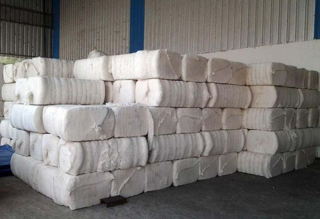 Top-Quality Raw Cotton Bales – Available for Immediate Sale - Image 4