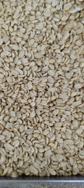 Split Roadted Peanut Origin India Form Blanched Degree of Processing Roasted - Image 1