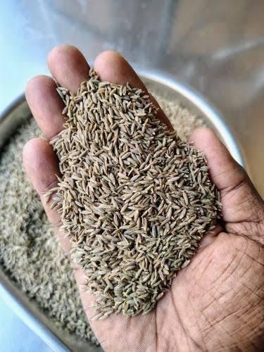 Indian Cumin Seeds Form Whole Delivery Form Bag Flavour Aroma, Spicy Place of Origin India Max. Moisture (%) 10 % Max Type Europe Quality 99.5%, Singapore Quality 99% - Image 3
