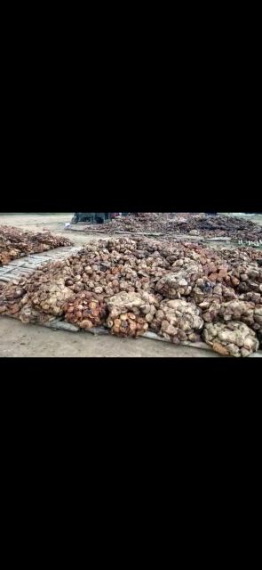 Rubber Cuplumps Form Coagulum Origin GHANA, Other Features Rubber Cuplump Dry Rubber Content 65%–85% Material Type Natural Rubber - Image 6