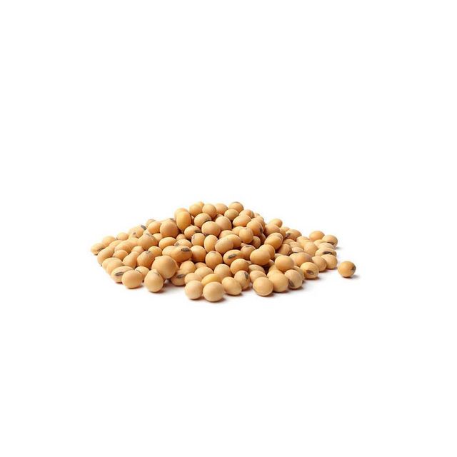 Hybrid Soybean Seed Advanced Breeding Soybean Seed Delivering Superior Germination And Vigorous Plant Growth - Image 3