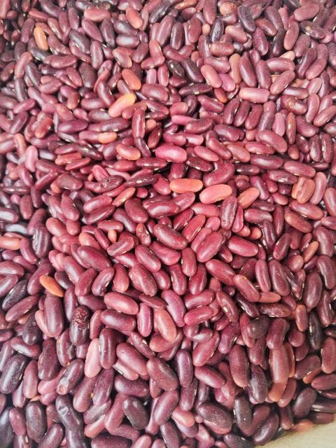 Red Kidney Beans - Image 3