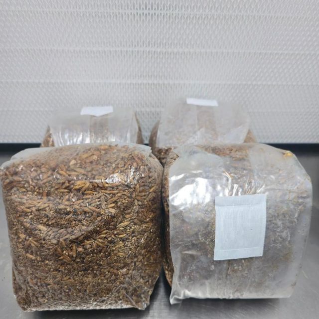 Durable Filter Patch Growing Spawn Bag Designed For Professional Mushroom Cultivation With Excellent Air Exchange - Image 3