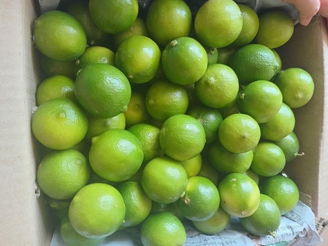 Fresh Seedless Lime class 1 export quality Organic Yes Origin South Africa - Image 4