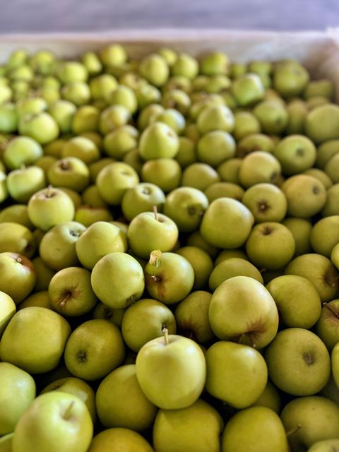 Golden Delicious Apples for sale - Image 3