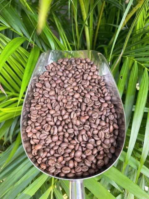 VIETNAM GREEN COFEE BEANS ROBUSTA & ARABICA EXORT QUALITY Organic No, Yes Decaffeinated No Degree of Processing Raw Bean Type Arabica, Robusta - Image 1