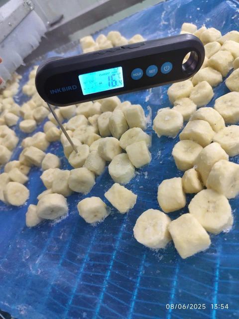 Frozen Cavendish Banana Slices (1–2 cm) - Image 2