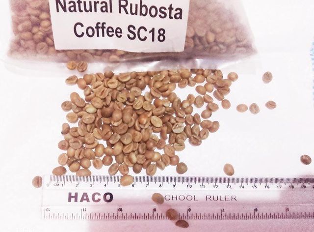 Robusta coffee (green) - Image 1