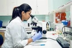 Laboratory Services Service Delivery Location Patient's Home Treatment Methods Exercise, Mobilization, Manipulation, Mechanical And Electrotherapy, Activity And - Image 1