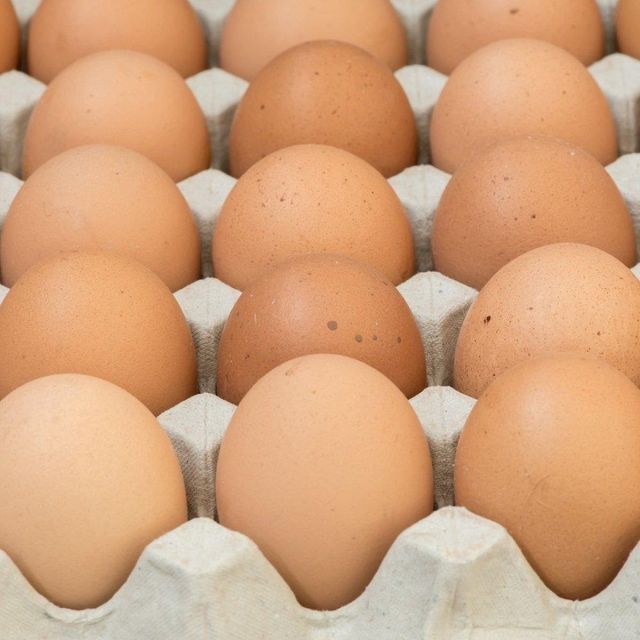 Carefully Sorted Fresh Table Eggs For International Wholesale Buyers With Secure Cartons And Reliable Farm Origin - Image 1