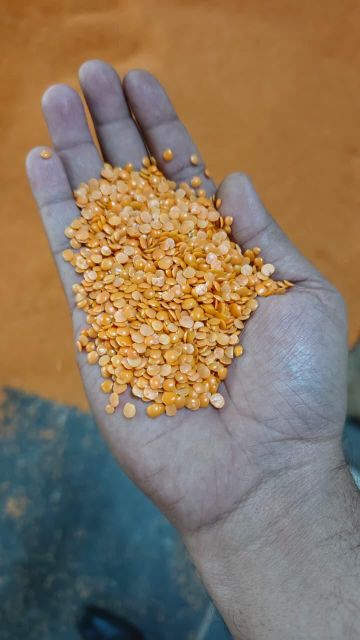 Canada imported toor dal processed in India -first quality product masoor dal adithya brand - Image 4
