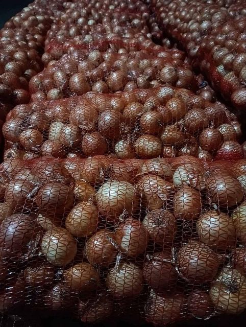 Fresh Red Onion Type Fresh Flavor Rich Texture Fresh Shelf Life Long Color Vibrant Red Intended Use Cooking, Garnishing, Pickling - Image 3