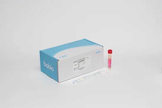 Babio VTM Tube 1.6x10cm ClassI CEISO MSDS WithLogo 1Y Group Adult Origin China Trademark Babio HS Code 3822001000 Model NO. VTM tube - Image 3