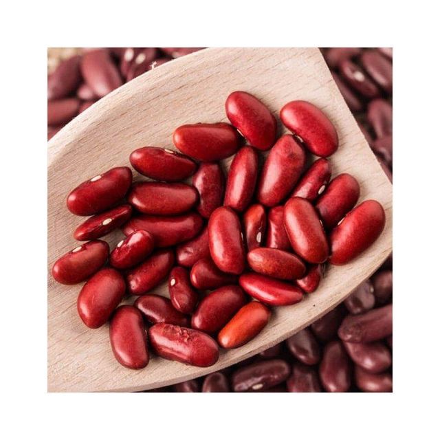 Low price Red Kidney Bean bulk supply export quality fast shipment - Image 4