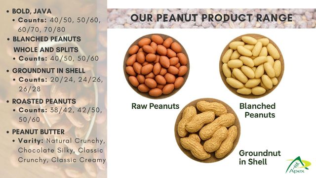Bold Peanut 5060, Bold Peanut 50 60,Bold Peanuts Kernels, Bold Peanut, Indian Bold Peanut, Indian Bold Peanuts, Peanuts Kernels, Peanut With Shell,Peanuts, Indian Peanut, Peanut, Peanuts, Arachis hypogaea, Bold Peanut Supplier From India. - Image 3