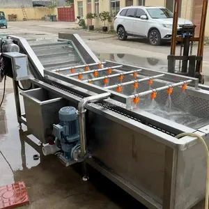 Strong Quality Vegetable Washing Equipment Sweet Potato Washing Machine - Image 4