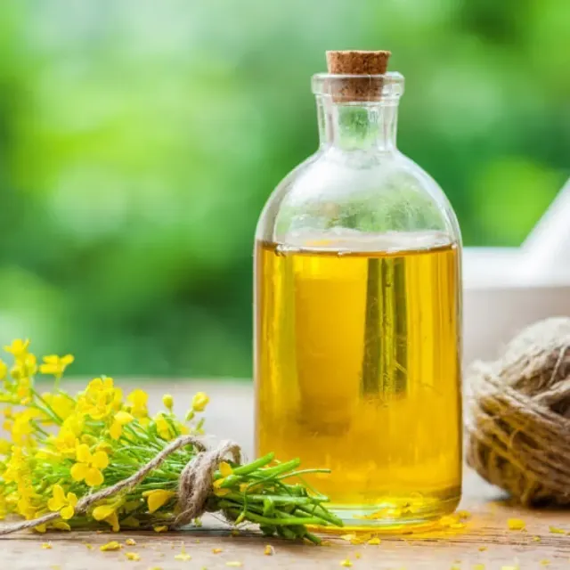 Professional Refined Rapeseed Oil For Restaurants And Food Businesses With Versatile Cooking Performance - Image 2