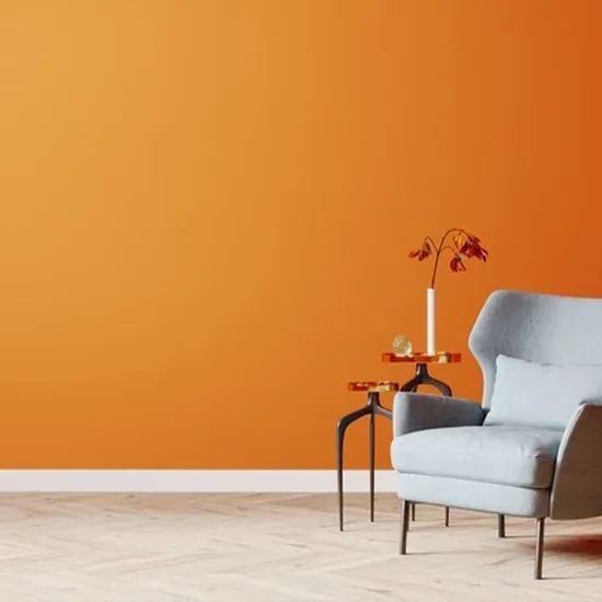 Versatile Interior and Exterior Building Coating for All Surfaces - Image 2