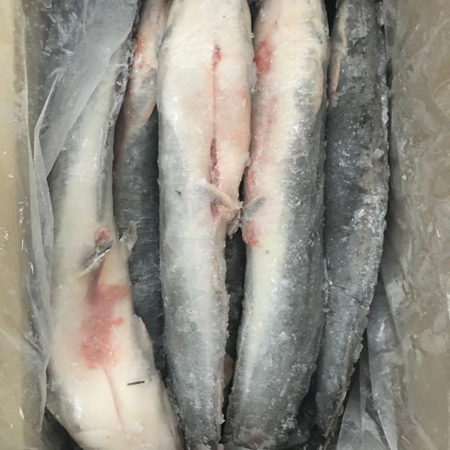 Frozen Catfish Vacuum Packed Frozen Seafood Selection For Reliable Export Supply And International Buyers - Image 1