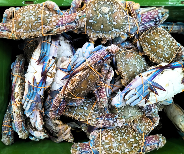 Prawns & Crab Organic Yes Freshness Level Fresh Catch Method Wild-Caught - Image 1