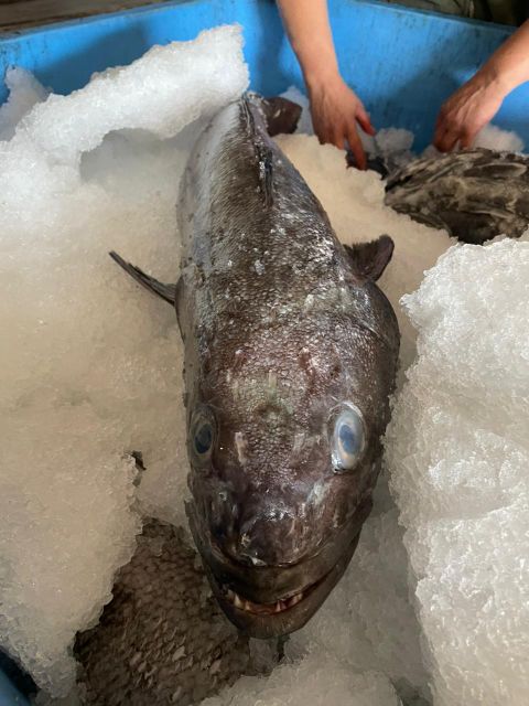 Patagonian Toothfish - Chilean Seabass - Image 4