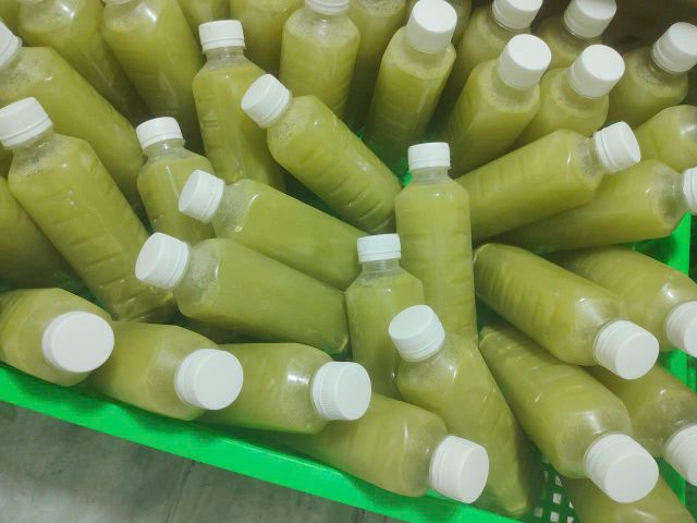 Frozen ambarella juice Brix Level 8 Up Purity 100% Pure Shelf Life 24 Months Specification Brix 8 up Storage Temperature -18 Degrees - Image 2