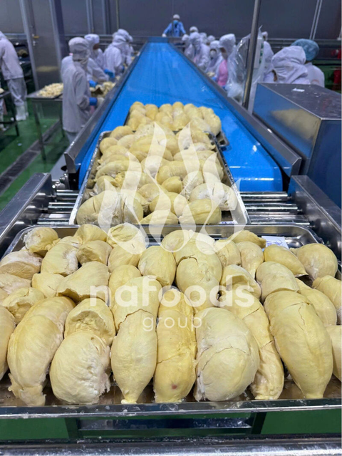 IQF Durian – product photo 1, product detail gallery