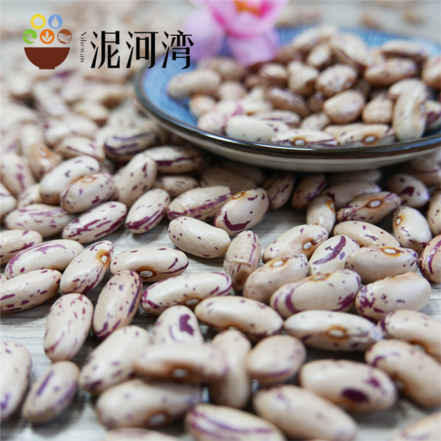 New Crop LSKB Long Shape Organic Dried Pinto Light Speckled Kidney Beans - Image 3