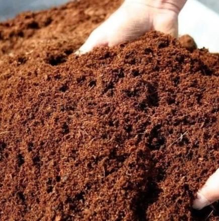 Coco Peat Aeration Excellent Origin Coconut Husk Water Retention High Function Growing Medium Antifungal Properties - Image 1