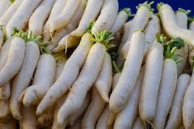 Standard Quality Fresh Radish Exporter from India Address - Type radish Content N/A Color White Style Fresh Model Number - Image 4