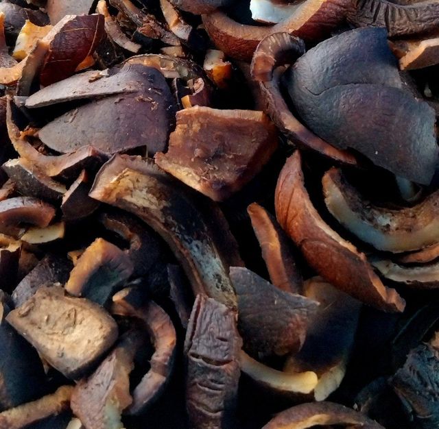 Dried Black Copra - Image 2