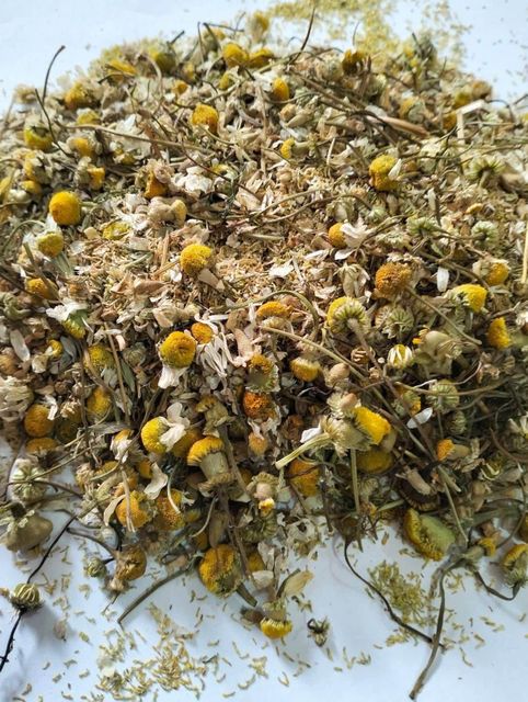 Premium Egyptian Dried Chamomile Flowers - Image 1