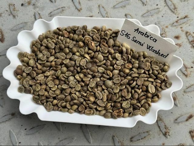 Premium Fresh Coffee Arabic And Robusta Coffee Bulk Wholesale Rich Aroma And Natural Taste 100% Robusta/Arabica Coffee Beans – product photo 4, product detail gallery