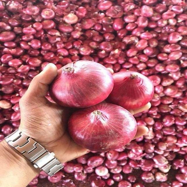 100% Natural Fresh Red Onion/ Dried Red Onion Garlic/ Chinese Fresh Ginger Onion For Sale - Image 5