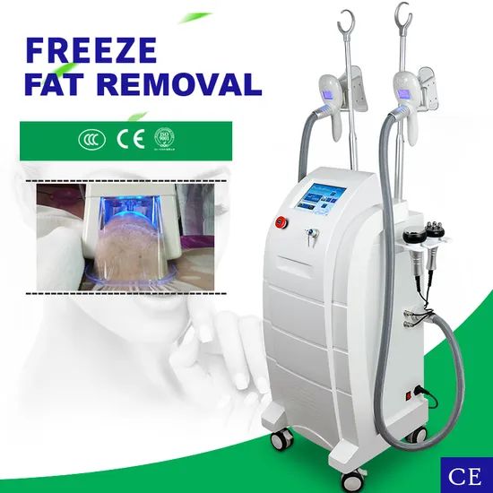 Button Screen Vertical Cryolipolysis Fat Loss Body Shaping Machine - Image 6