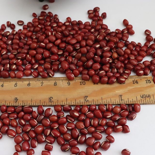 Bulk Non Gmo Feijao Azuki Aduzuki Beans Japanese Red Beans - Image 2