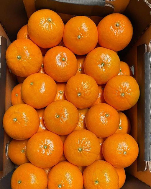 Fresh South African Lemons, Oranges, Grapefruit, Mandarins, Lime for sale, 100% Organic, NEW CROPS!! – product photo 4, product detail gallery
