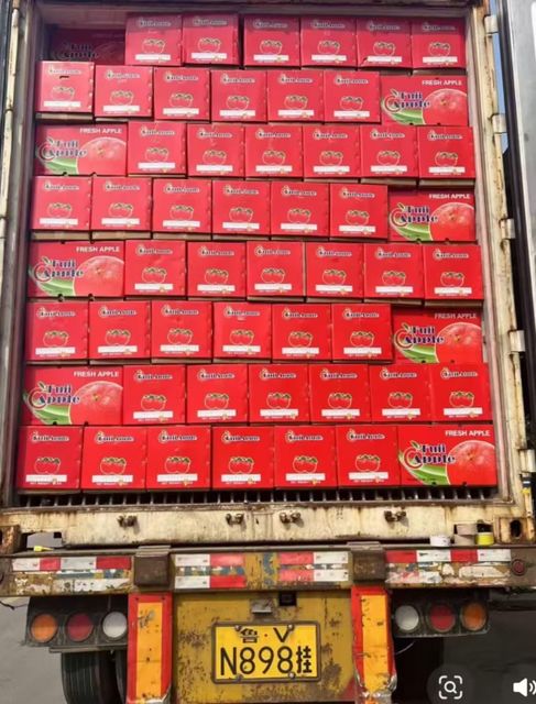 Fresh Fuji Apples - Image 3