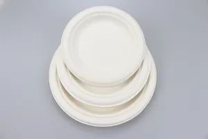 Disposable Bagasse Plate Biodegradable Compostable Sugarcane Tableware Plate - Image 6