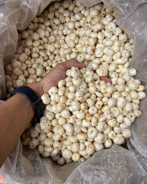 Fox Nuts - Image 3