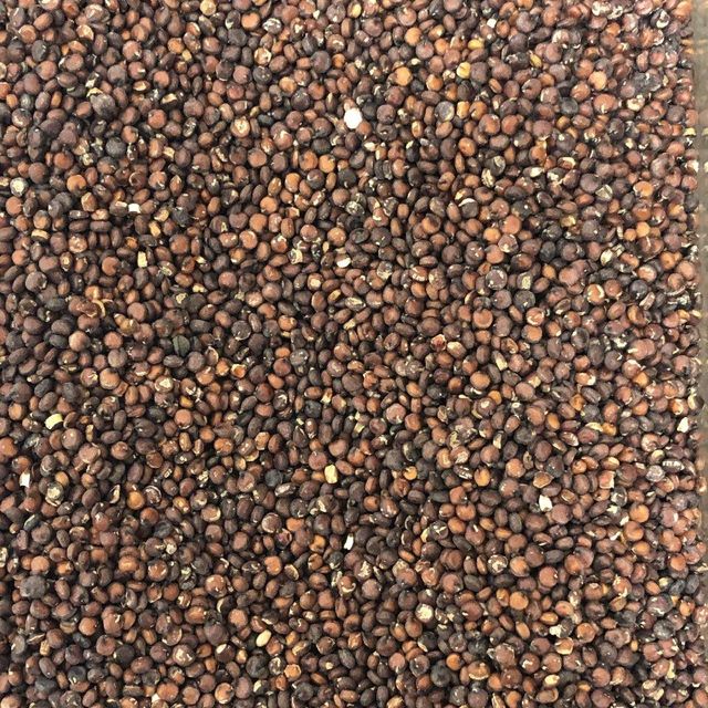 Gluten Free Quinoa Grains With High Nutritional Content For Functional Food Ingredient And Dietary Applications - Image 4