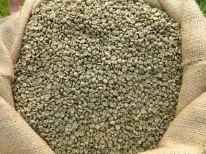 Arabica - Image 3