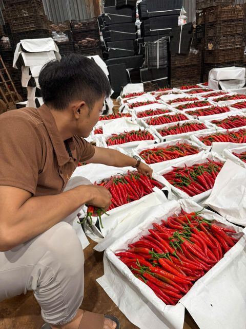 BIG RED CHILI - Image 4