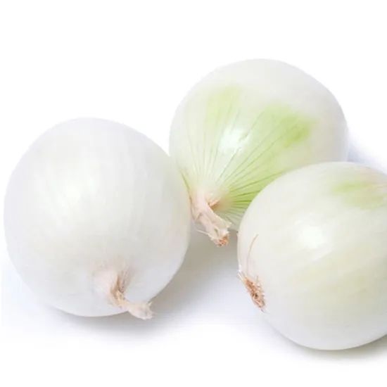 Best Selling Freshness Frozen Onion Dice - Image 1