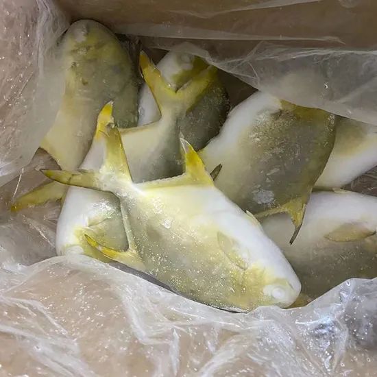 Promotion Good Quality Frozen Seafood Golden Pompano Pomfret Fish - Image 5