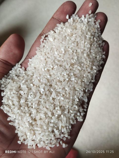 IRRi-6 LGWR 100% broken - Pakistan origin – product photo 2, product detail gallery