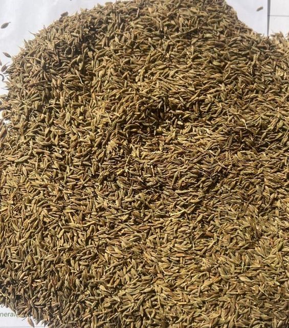 Cumin seeds Grade A Type Seeds Origin Egypt Purity Pure Organic Packaging As desired Place of Origin Egypt Broker Chain No Broker Chain - Image 3