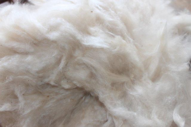 Fine Kapok Fiber - Image 1