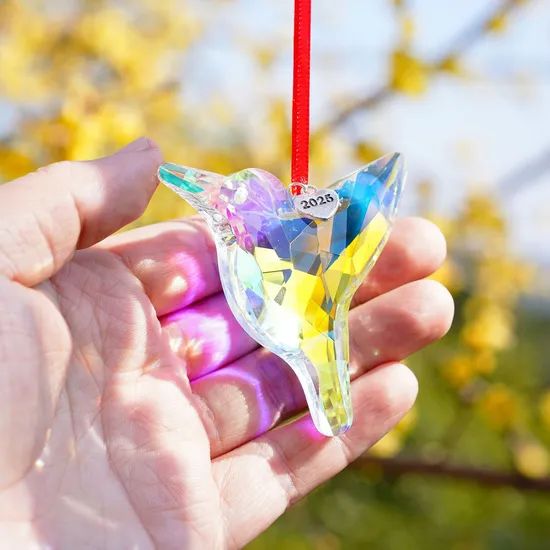 Hummingbird Crystal Suncatcher with Heart Tag for Christmas Gift - Image 1